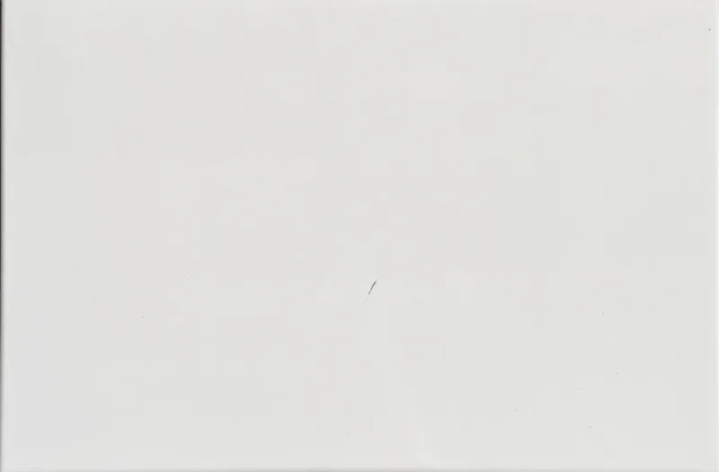 Faïence murale blanche brillante 20x30 – 2030 White